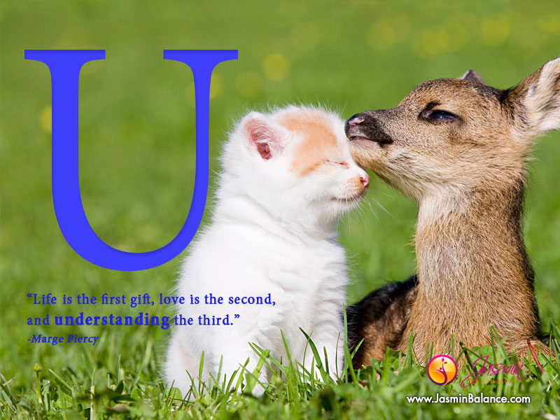 Happiness AZ, UUnderstanding Jasmin Terrany